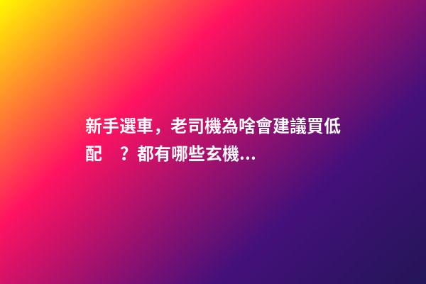 新手選車，老司機為啥會建議買低配？都有哪些玄機？